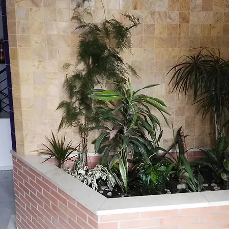 Fan Flat Eugenio Apartment